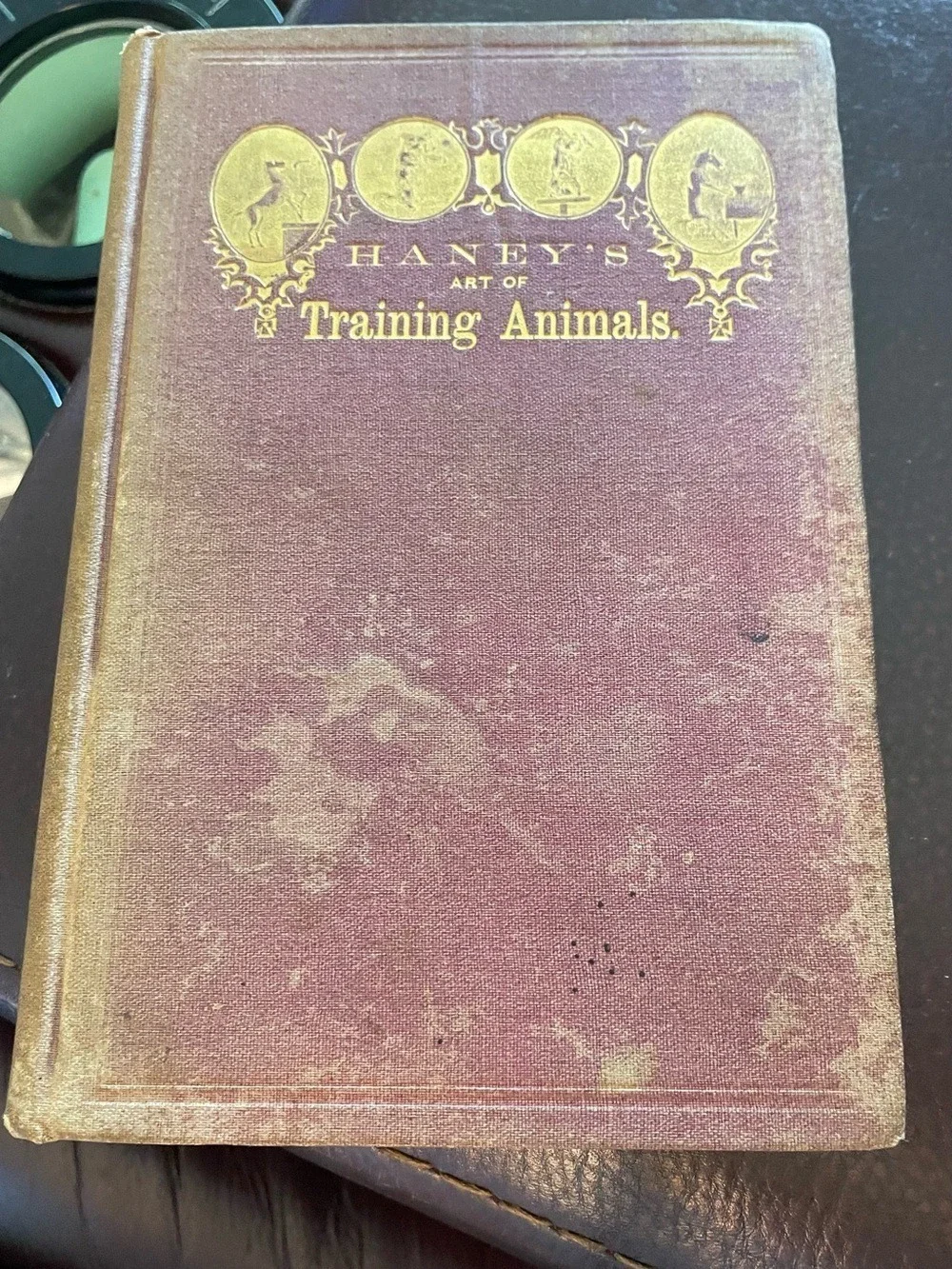 1869 